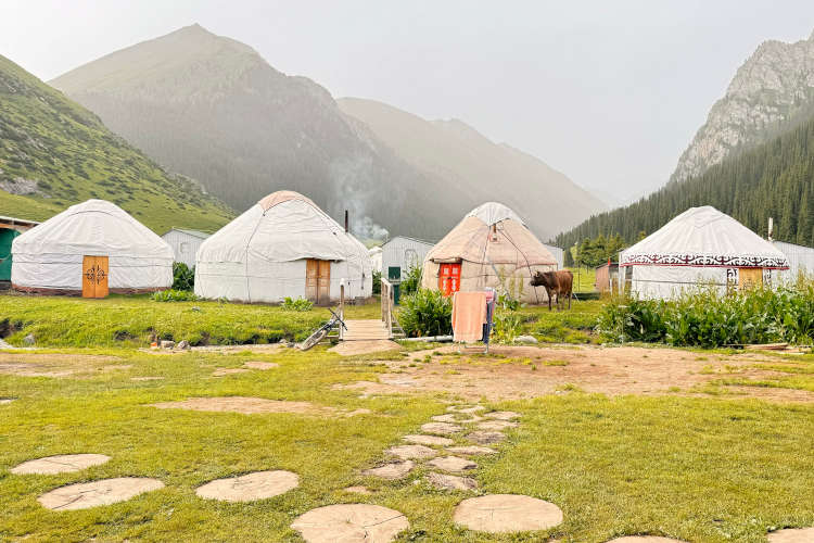 Photo of our yurts, with the mountains as a background