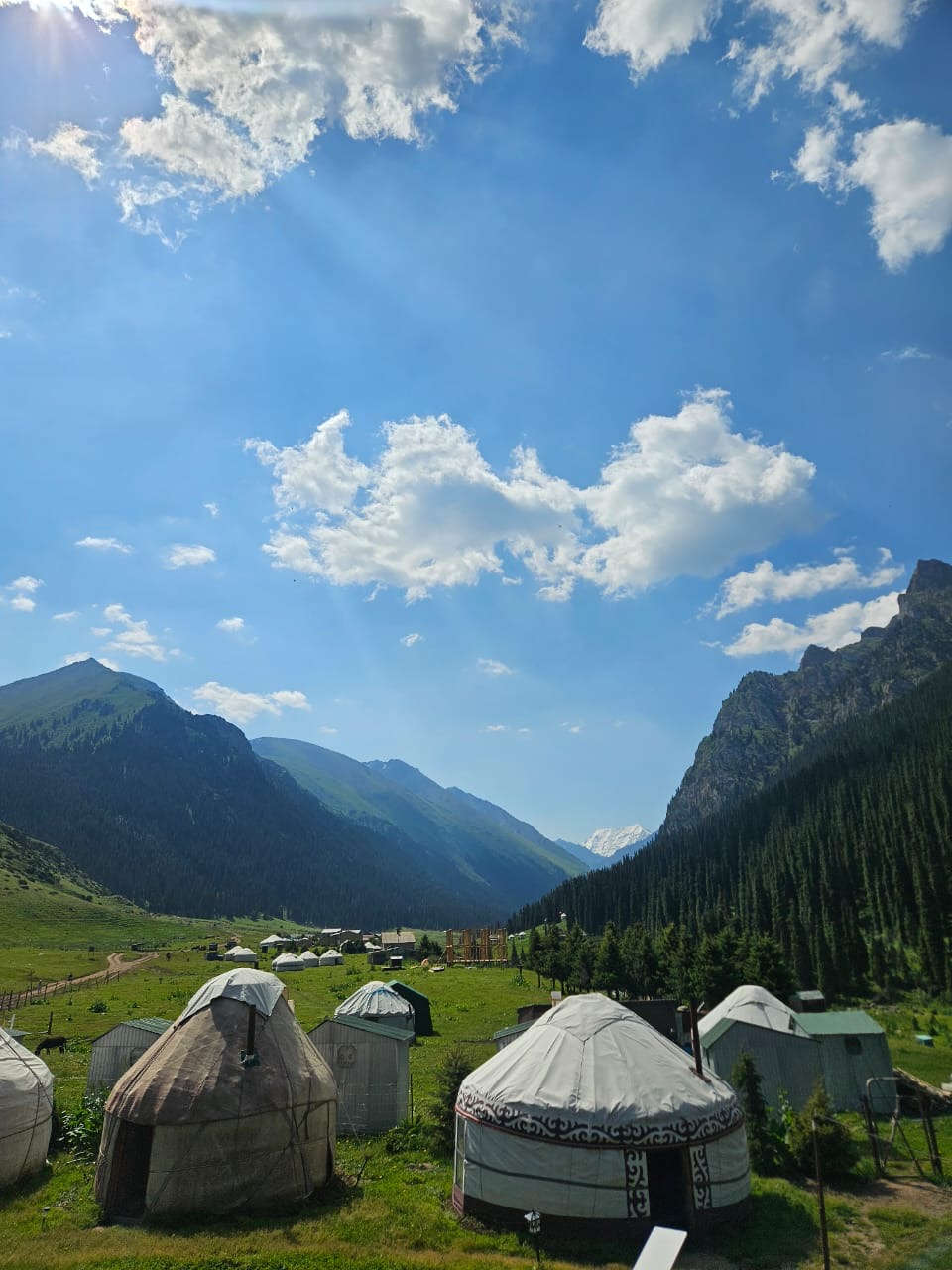 Photo of the yurts of our guesthouse