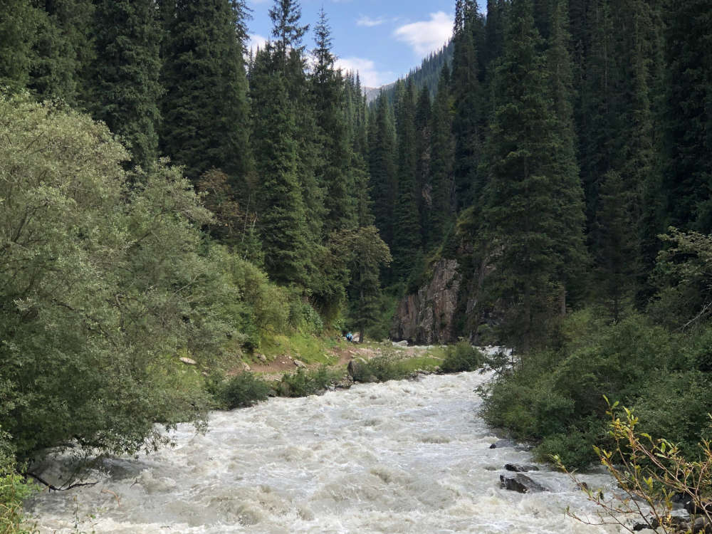 Photo of the river between with trees as a background